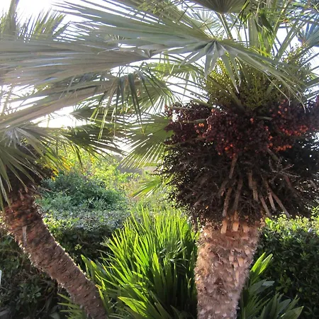 In Mit Schoenem Garten * Capoliveri (Isola d'Elba)