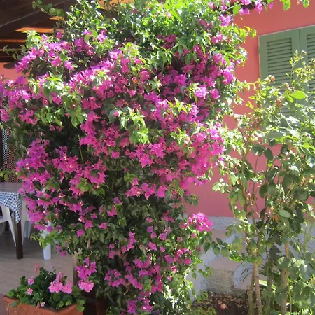 Appartamento In Mit Schoenem Garten