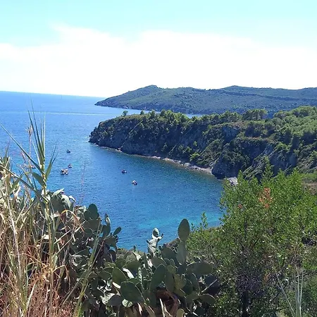 In Mit Schoenem Garten Appartamento Capoliveri (Isola d'Elba)